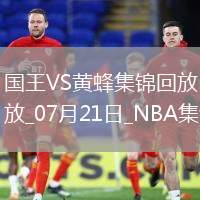 NBA夏季聯(lián)賽冠軍賽國王-黃蜂全場集錦