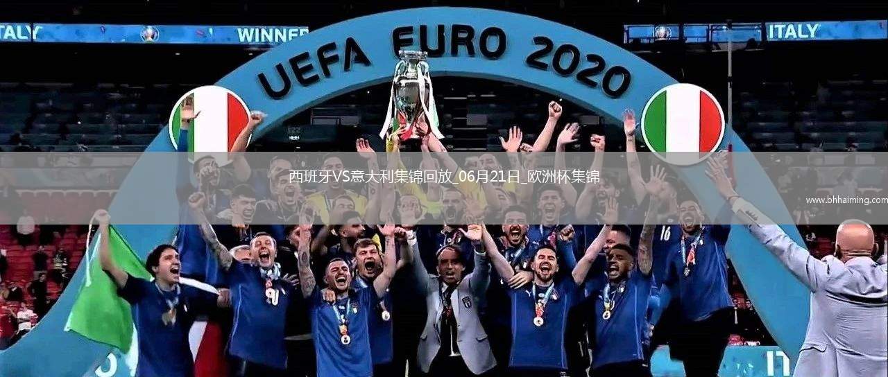 06月21日歐洲杯小組賽B組第2輪西班牙vs意大利精彩片段