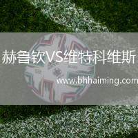 赫魯欽VS維特科維斯