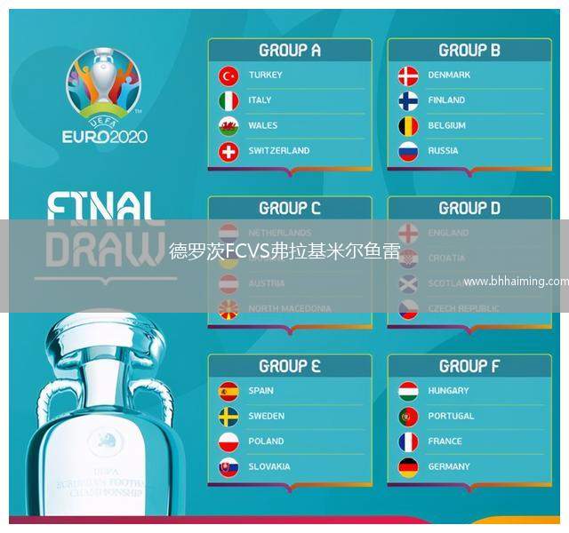 德羅茨FCVS弗拉基米爾魚雷