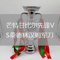 芒特甘比爾先鋒VS桑德林漢姆軍刀