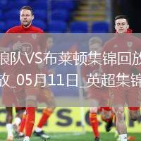 英超-維爾貝克破門布萊頓客場2-0勝狼隊
