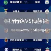 韋斯特洛VS梅赫倫