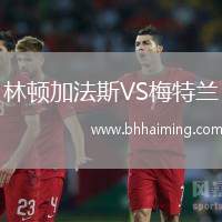 林頓加法斯VS梅特蘭