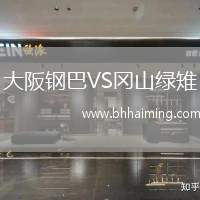大阪鋼巴VS岡山綠雉
