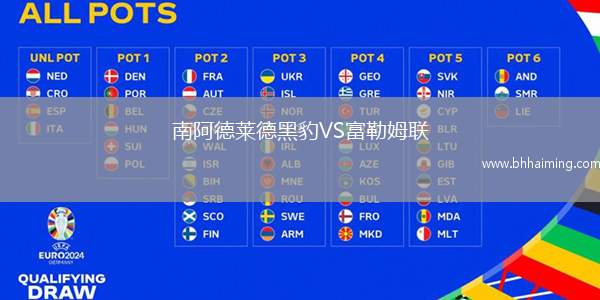 南阿德萊德黑豹VS富勒姆聯(lián)