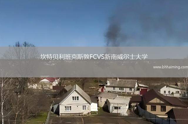 坎特貝利班克斯敦FCVS新南威爾士大學(xué)