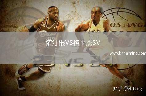 諾汀根VS格平杰SV