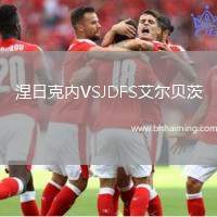 涅日克內(nèi)VSJDFS艾爾貝茨