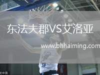 東法夫郡VS艾洛亞