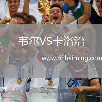 韋爾VS卡洛治