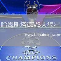 哈姆斯塔德VS天狼星