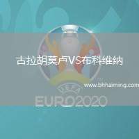 古拉胡莫盧VS布科維納