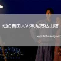 紐約自由人VS明尼蘇達(dá)山貓