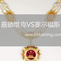 嘉德維克VS塞爾福斯