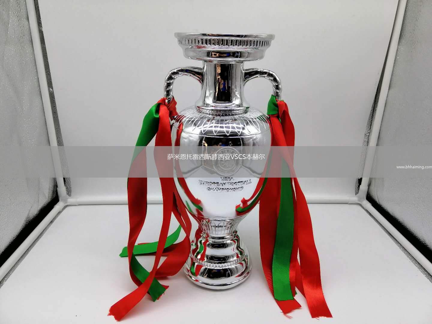 薩米恩托雷西斯膝西亞VSCS本赫爾