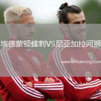 埃德蒙頓蜂刺VS尼亞加拉河獅