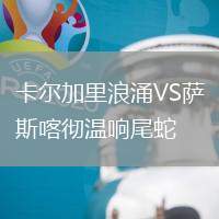 卡爾加里浪涌VS薩斯喀徹溫響尾蛇