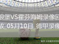 德甲第33輪沃爾夫斯堡2-2霍芬海姆