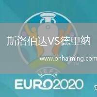 斯洛伯達VS德里納