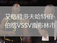 艾格登多夫哈特伯格VSSV雷布林市