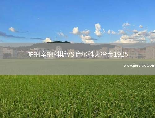 茲巴希內(nèi)克塞雷娜VS羅扎羅贊基