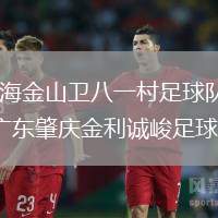 上海金山衛(wèi)八一村足球隊(duì)VS廣東肇慶金利誠峻足球隊(duì)