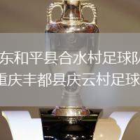 廣東和平縣合水村足球隊(duì)VS重慶豐都縣慶云村足球隊(duì)