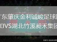 廣東肇慶金利誠峻足球隊VS湖北竹溪昶禾集團隊