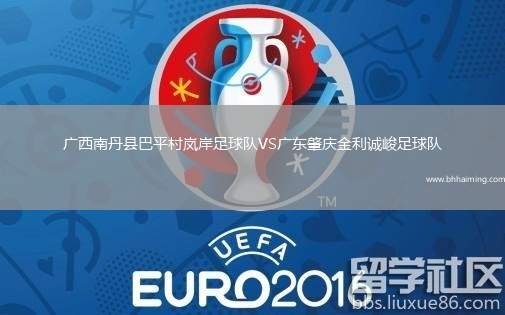 廣西南丹縣巴平村嵐岸足球隊VS廣東肇慶金利誠峻足球隊