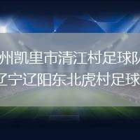 貴州凱里市清江村足球隊VS遼寧遼陽東北虎村足球隊