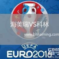 海美瑞VS科林
