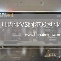 幾內(nèi)亞VS阿爾及利亞