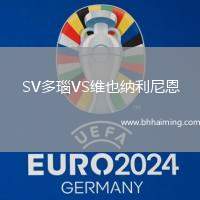 SV多瑙VS維也納利尼恩