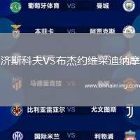 濟斯科夫VS布杰約維采迪納摩