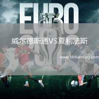 威爾德斯通VS夏利法斯