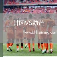 甘岡VS勒芒