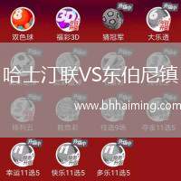 哈士汀聯(lián)VS東伯尼鎮(zhèn)