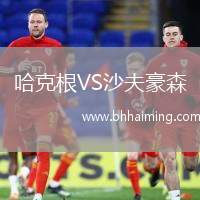 哈克根VS沙夫豪森