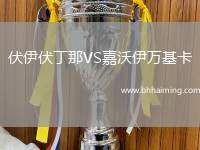 伏伊伏丁那VS嘉沃伊萬(wàn)基卡