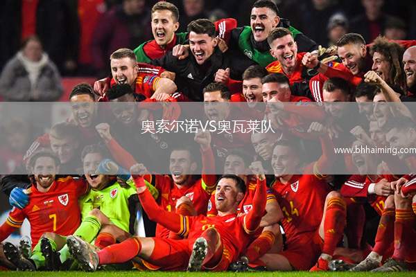 奧索爾諾VS奧瓦萊隊(duì)