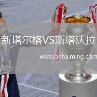 新塔爾格VS斯塔沃拉