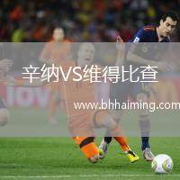 辛納VS維得比查