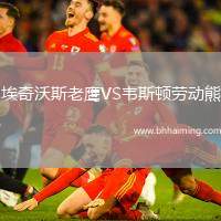 埃奇沃斯老鷹VS韋斯頓勞動熊