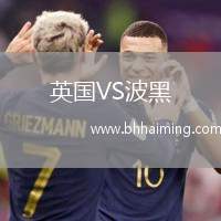 英國(guó)VS波黑