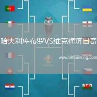 哈夫利庫布羅VS維克梅濟日奇