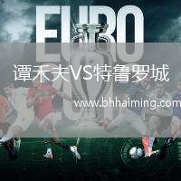 譚禾夫VS特魯羅城