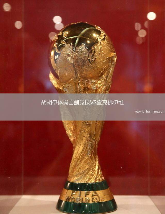 胡胡伊體操擊劍競技VS查克佛伊維