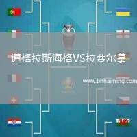 道格拉斯海格VS拉費(fèi)爾拿
