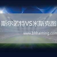 斯?fàn)栔Z特VS米斯克圖